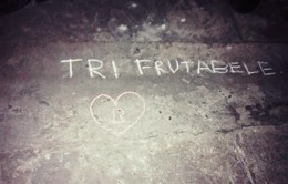 nastja-blog.original